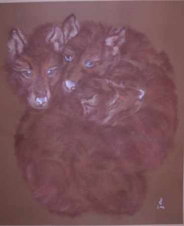 Farkaskölykök a kotorékban (pasztell)